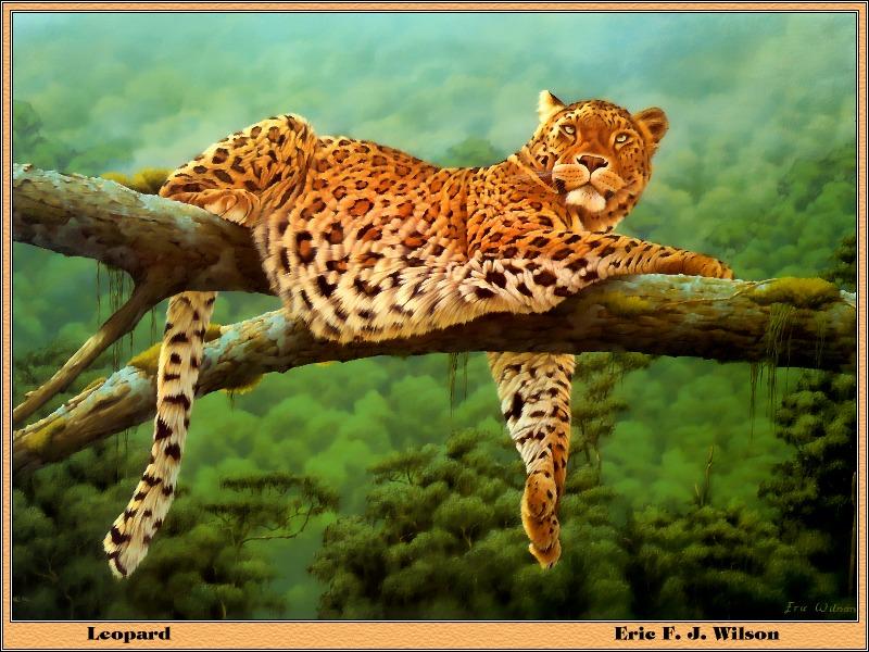 [Animal Art - Eric F. J. Wilson] African Leopard (Panthera pardus) {!--아프리카표범-->; DISPLAY FULL IMAGE.