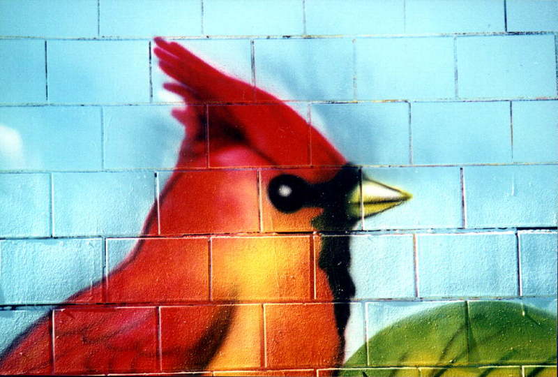 [Animal Art] Northern Cardinal (Cardinalis cardinalis) {!--홍관조-->; DISPLAY FULL IMAGE.
