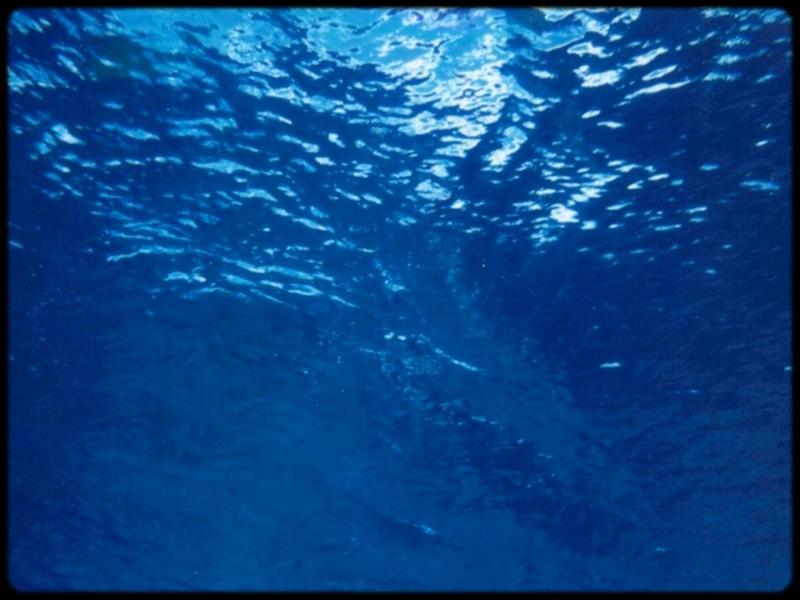 [Underwater] ...; DISPLAY FULL IMAGE.