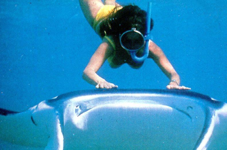 [Underwater Scuba Diving] Lady & Manta Ray; DISPLAY FULL IMAGE.