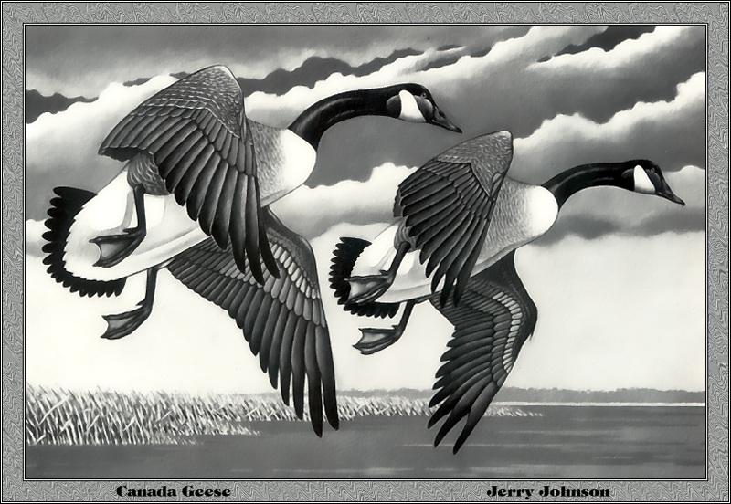 [Animal Art - Jerry Johnson] Canada Goose pair (Branta canadensis) {!--캐나다기러기-->; DISPLAY FULL IMAGE.
