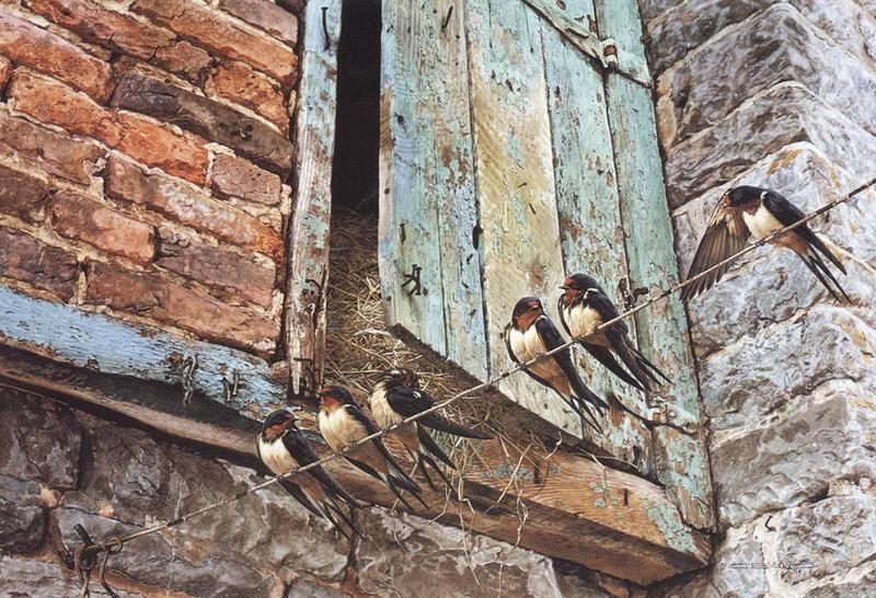 [Animal Art - Carl Brenders] Barn Swallow flock (Hirundo rustica) {!--제비-->; DISPLAY FULL IMAGE.