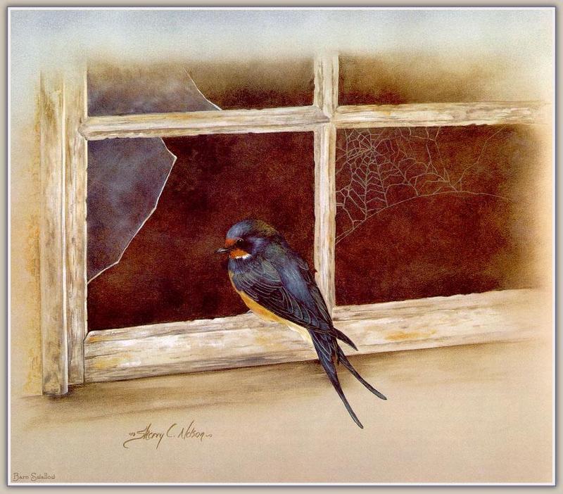 [Animal Art - Sherry Nelson] Barn Swallow (Hirundo rustica) {!--제비-->; DISPLAY FULL IMAGE.