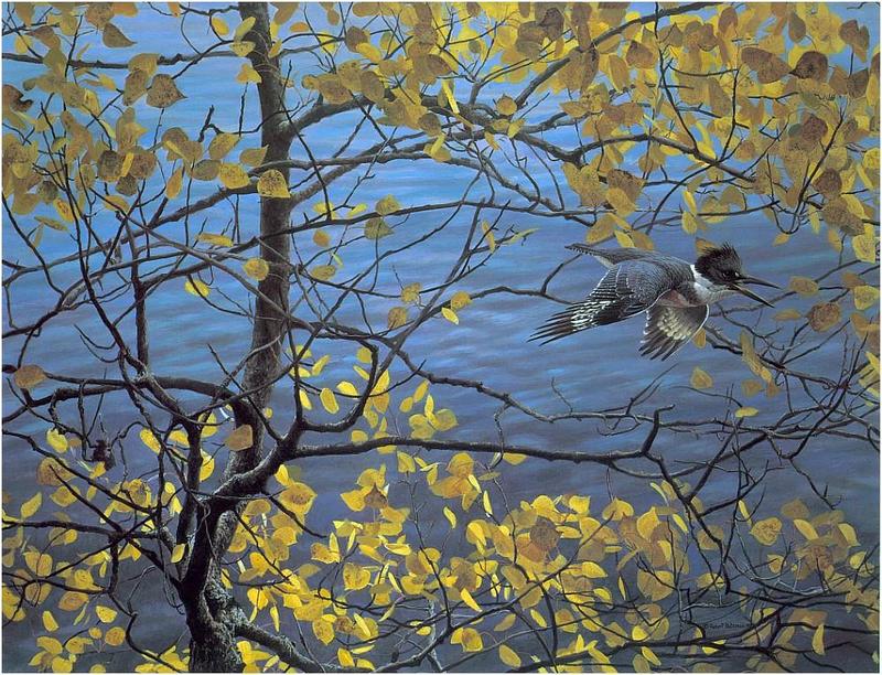 [Animal Art - Robert Bateman] Kingfisher (Alcedinidae) {!--물총새류-->; DISPLAY FULL IMAGE.