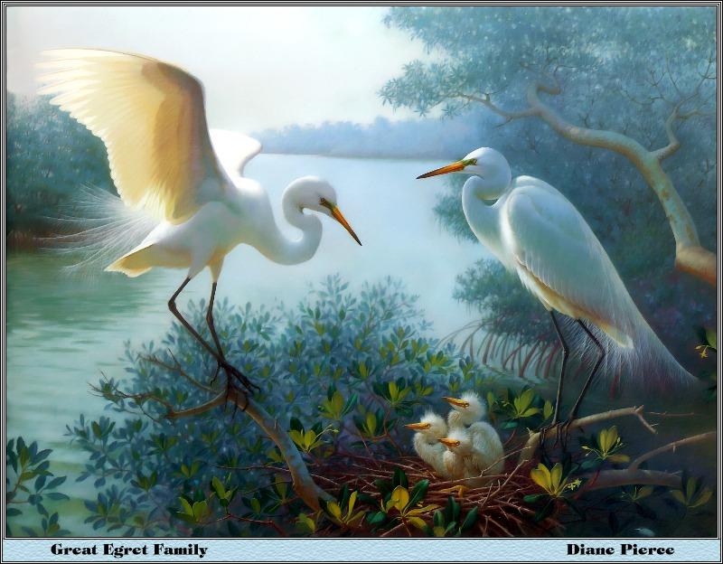 [Animal Art - Dianne Pierce] Great Egrets & chicks (Egretta alba) {!--대백로(大白鷺)-->; DISPLAY FULL IMAGE.