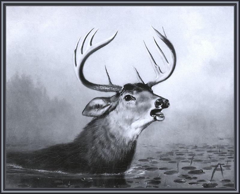 [Animal Art - Arthur Fitzwilliam Tait] Escaped (1883) - Deer buck; DISPLAY FULL IMAGE.