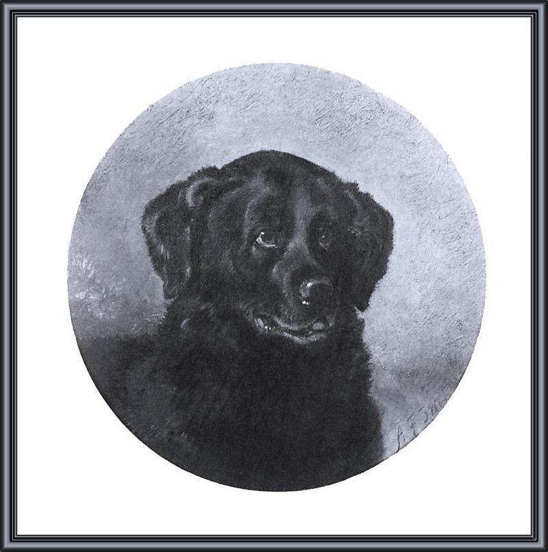 [Animal Art - Arthur Fitzwilliam Tait] Black Labrador Retriever (1860); DISPLAY FULL IMAGE.