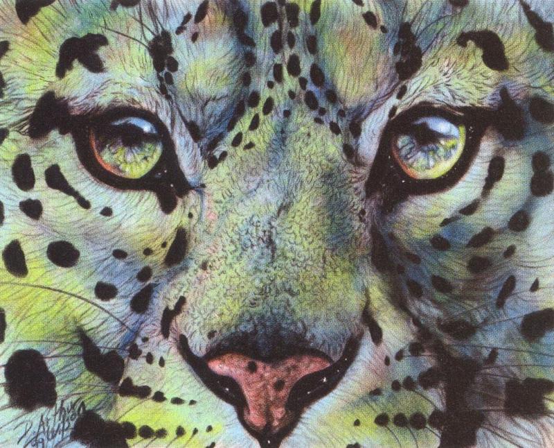 [Animal Art - Arthur Wilson] Appetite (Snow Leopard face); DISPLAY FULL IMAGE.