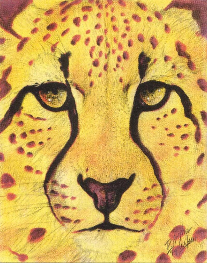 [Animal Art - Arthur Wilson] Energy (Cheetah face); DISPLAY FULL IMAGE.