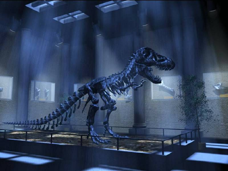 [T. rex Skeleton] Tyrannosaurus rex {!--티라노사우루스 골격-->; DISPLAY FULL IMAGE.
