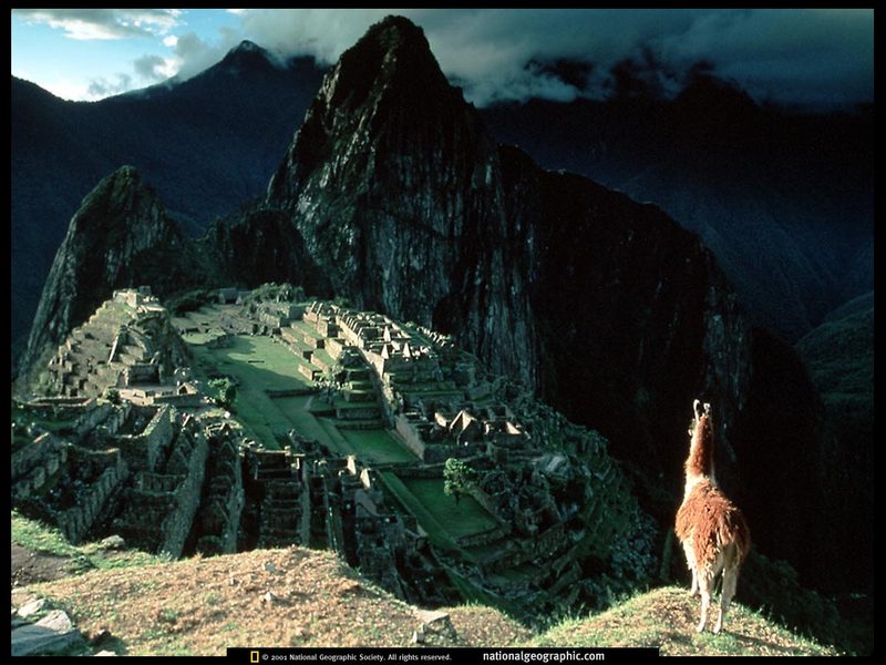 [National Geographic] Llama, Machu Picchu (라마, 마추피추); DISPLAY FULL IMAGE.