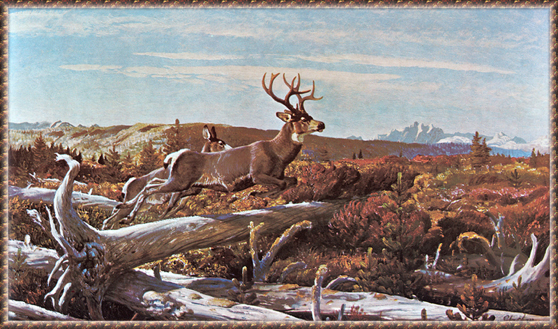 [zFox SWD Scan] The Western Paintings of John Clymer 027 Ridge Run -Whitetail Deer; DISPLAY FULL IMAGE.