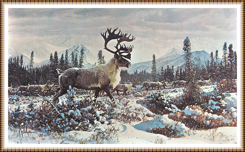 [zFox SWD Scan] The Western Paintings of John Clymer 032 Caribou In Winter; DISPLAY FULL IMAGE.