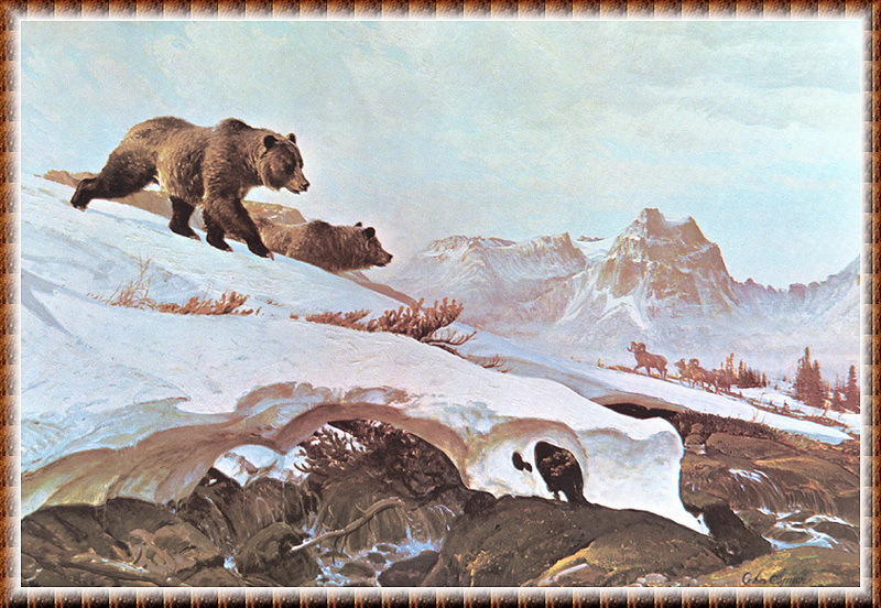 [zFox SWD Scan] The Western Paintings of John Clymer 038 Snow Field, 1968; DISPLAY FULL IMAGE.