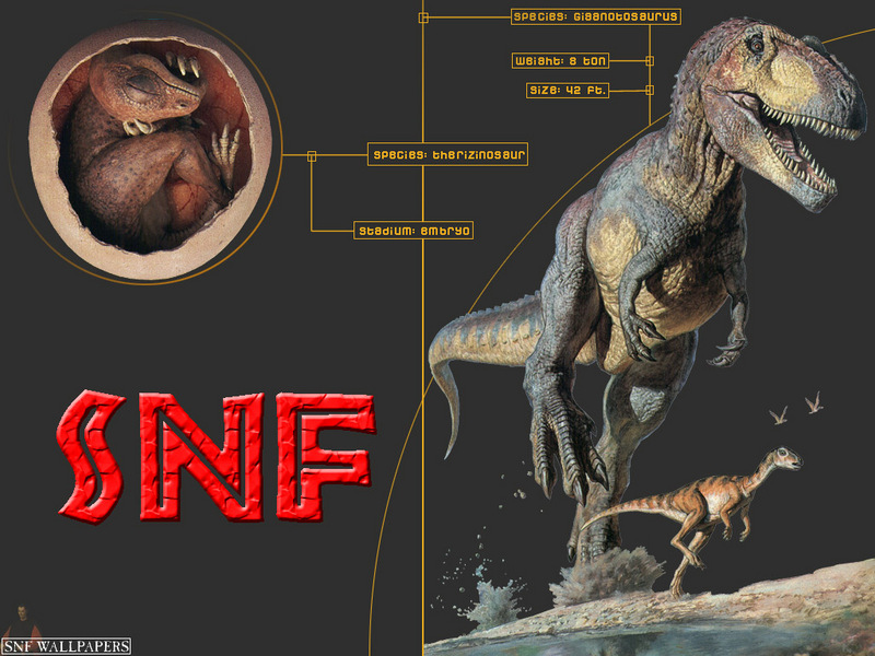 [SnF Wallpapers] Dinosaurs; DISPLAY FULL IMAGE.