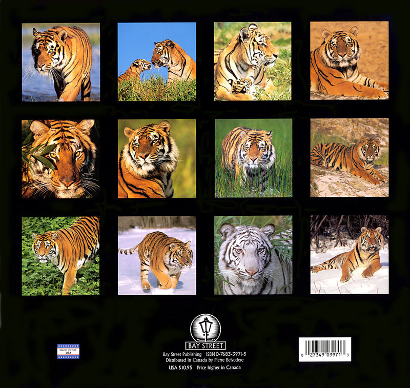 [CPerrien Tigers-Calendar-2001] Back cover; DISPLAY FULL IMAGE.