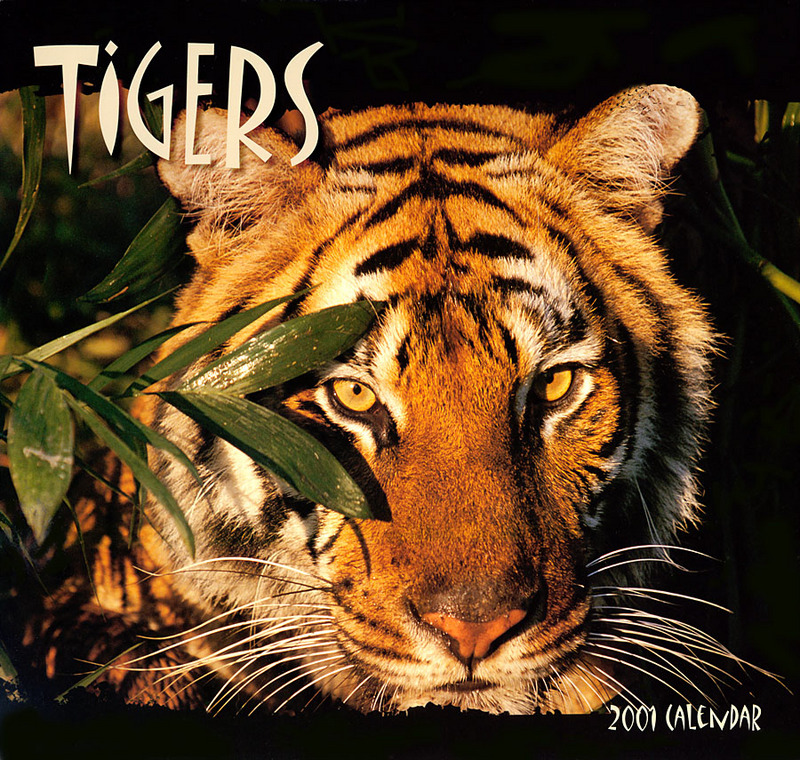 [CPerrien Tigers-Calendar-2001] Front Cover; DISPLAY FULL IMAGE.