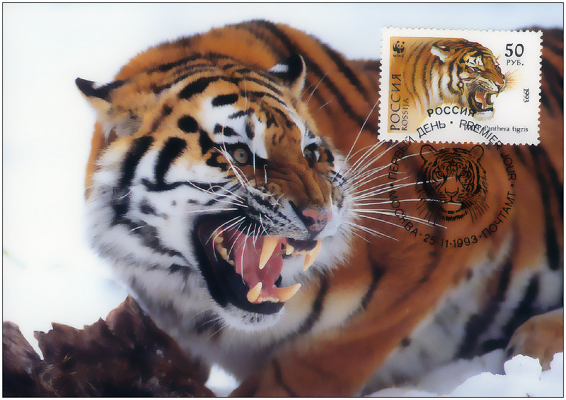 [Fafnir] WWF Tiger Postcard 1986]; DISPLAY FULL IMAGE.