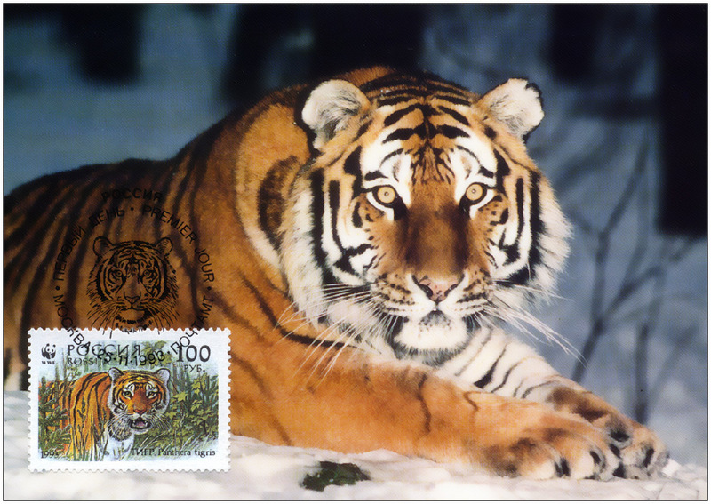 [Fafnir] WWF Tiger Postcard 1986]; DISPLAY FULL IMAGE.