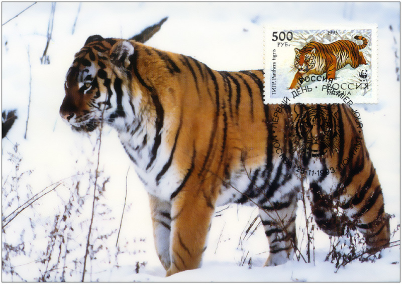 [Fafnir] WWF Tiger Postcard 1986]; DISPLAY FULL IMAGE.