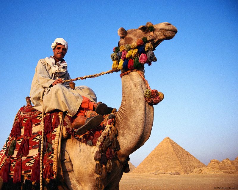 [Worldprints - Africa] Camel rider; DISPLAY FULL IMAGE.