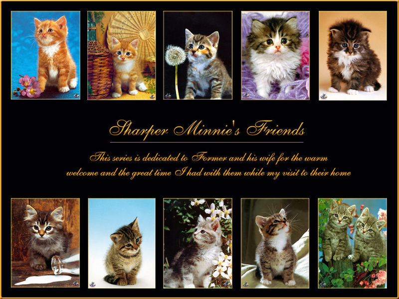 [Sharper - Minnie's Friends SWD] Kitten - Index; DISPLAY FULL IMAGE.