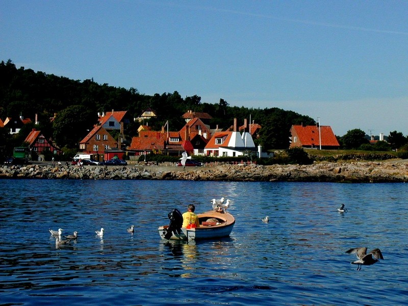 [DOT CD01] Gulls, Bornholm Gudhjem Harbor, Denmark; DISPLAY FULL IMAGE.