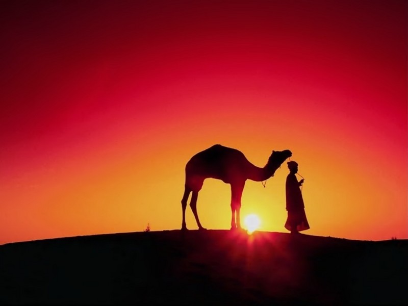 [DOT CD01] Sunrises and Sunsets - Camel; DISPLAY FULL IMAGE.