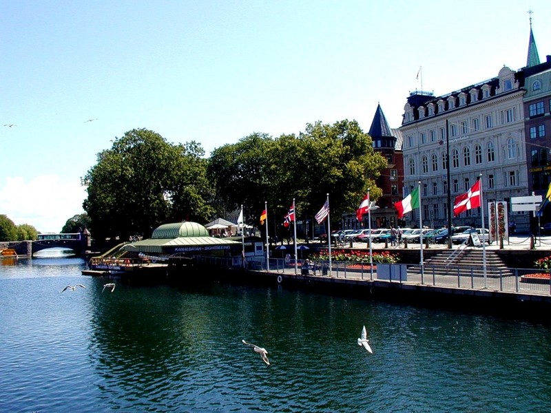 [DOT CD01] Scenery - Gulls, Malmoe, Sweden; DISPLAY FULL IMAGE.