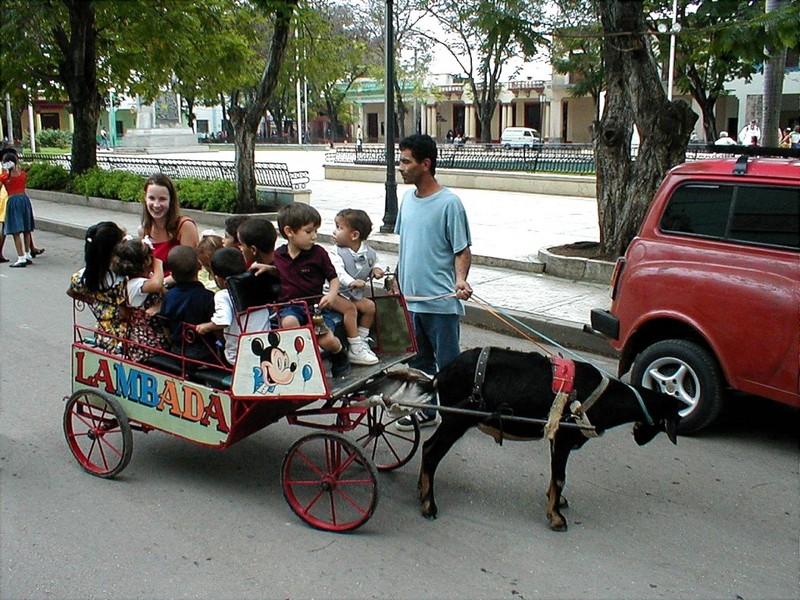 [DOT CD02] Cuba - Goat Cart; DISPLAY FULL IMAGE.