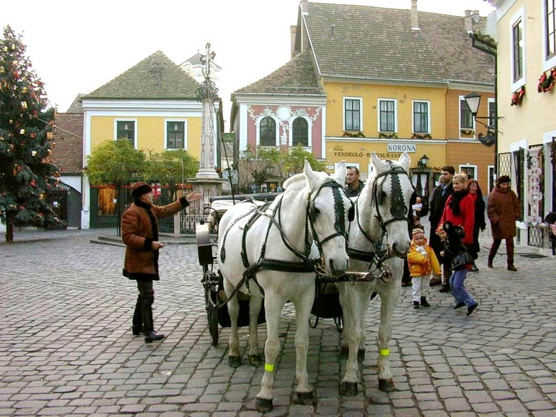 [DOT CD02] Hungary - Szentendre - Horse Wagon; DISPLAY FULL IMAGE.