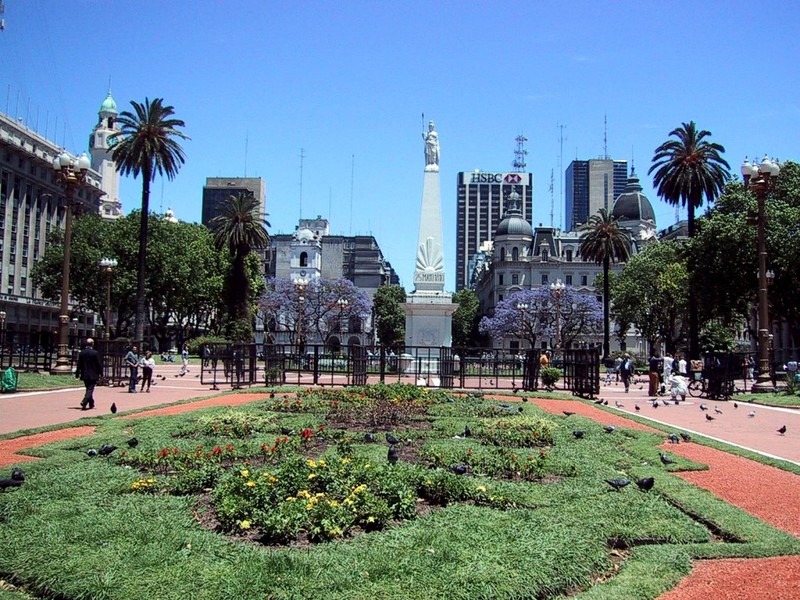 [DOT CD02] Buenos_Aires, Argentina, South America - Pigeons; DISPLAY FULL IMAGE.