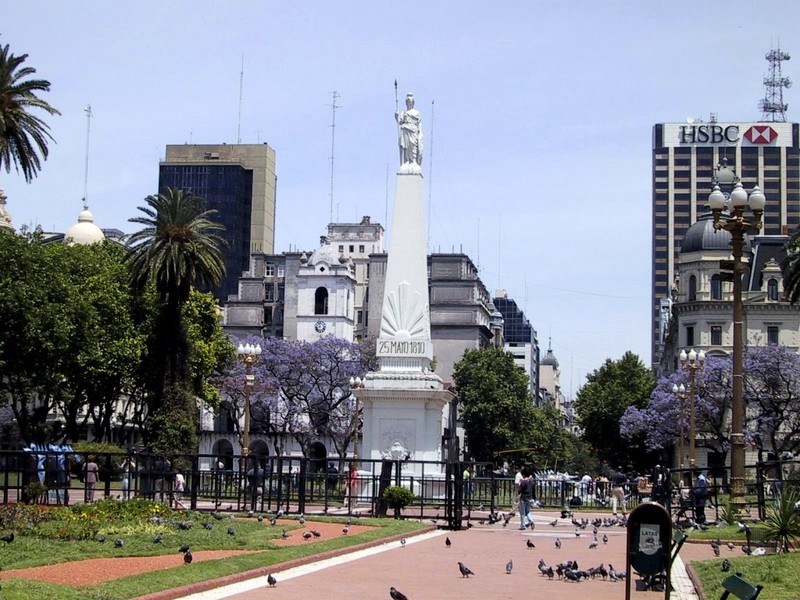 [DOT CD02] Buenos_Aires, Argentina, South America - Pigeons; DISPLAY FULL IMAGE.