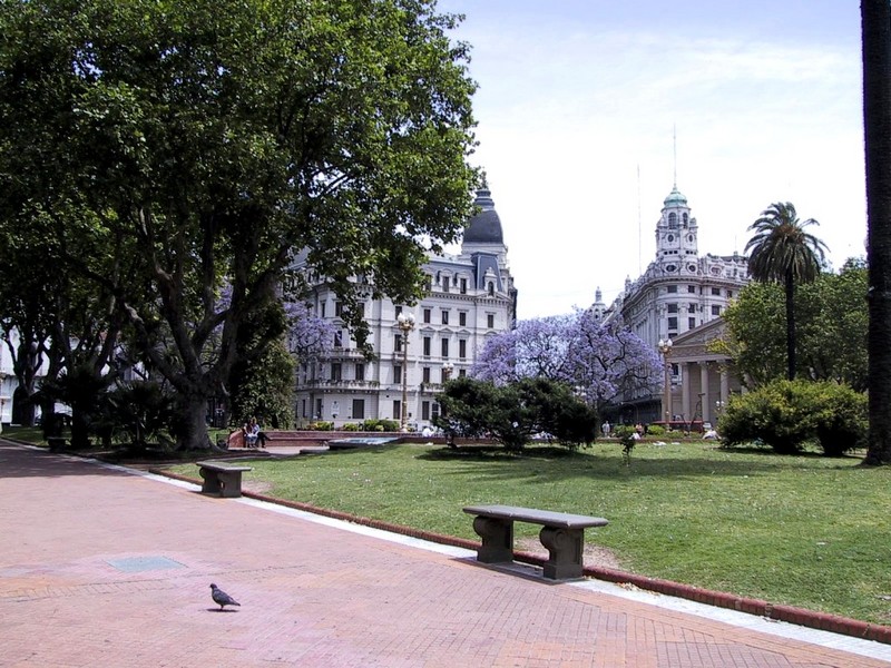 [DOT CD02] Buenos_Aires, Argentina, South America - Pigeon; DISPLAY FULL IMAGE.