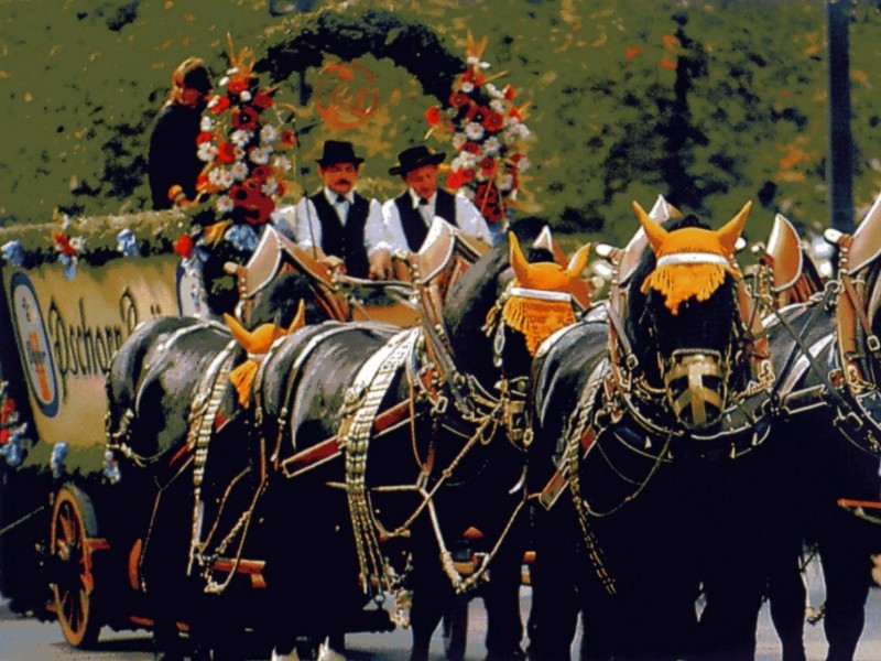 [DOT CD03] Germany - Munich - Oktoberfest - Horses; DISPLAY FULL IMAGE.