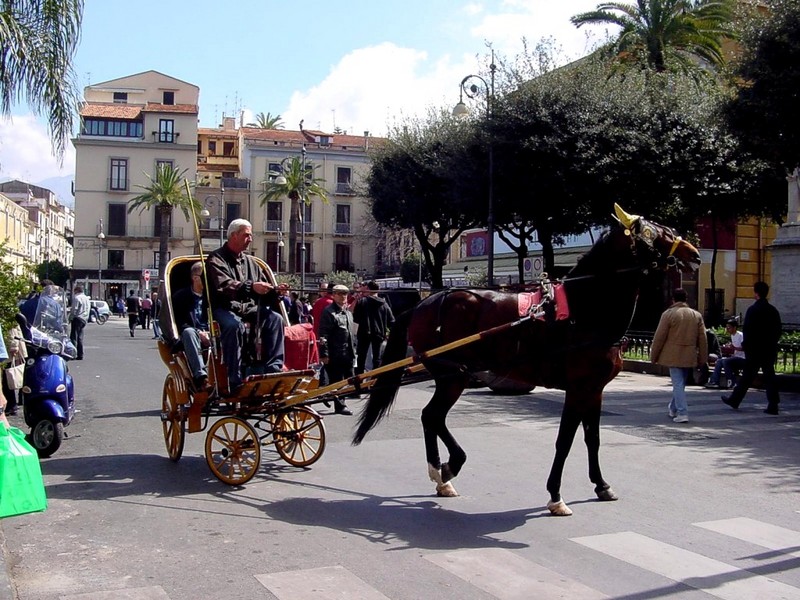 [DOT CD03] Italy - Gulf of Naples - Sorrento - Horse Cab; DISPLAY FULL IMAGE.