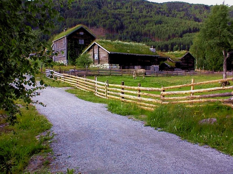 [DOT CD03] Norway - Sognefjord - Folk Museum - Horse; DISPLAY FULL IMAGE.