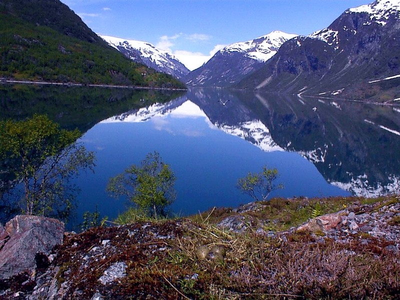 [DOT CD03] Norway - Sognefjord - Veitastrond - Bird Eggs; DISPLAY FULL IMAGE.