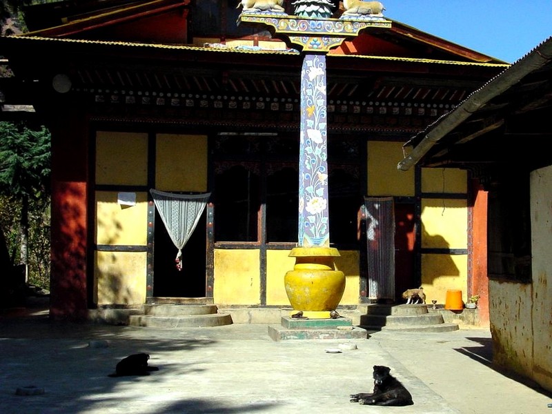 [DOT CD04] Bhutan - Drubthob Goemba Monastery - Dog; DISPLAY FULL IMAGE.