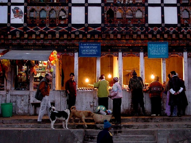 [DOT CD04] Bhutan - Thimpu Downtown - Dogs; DISPLAY FULL IMAGE.