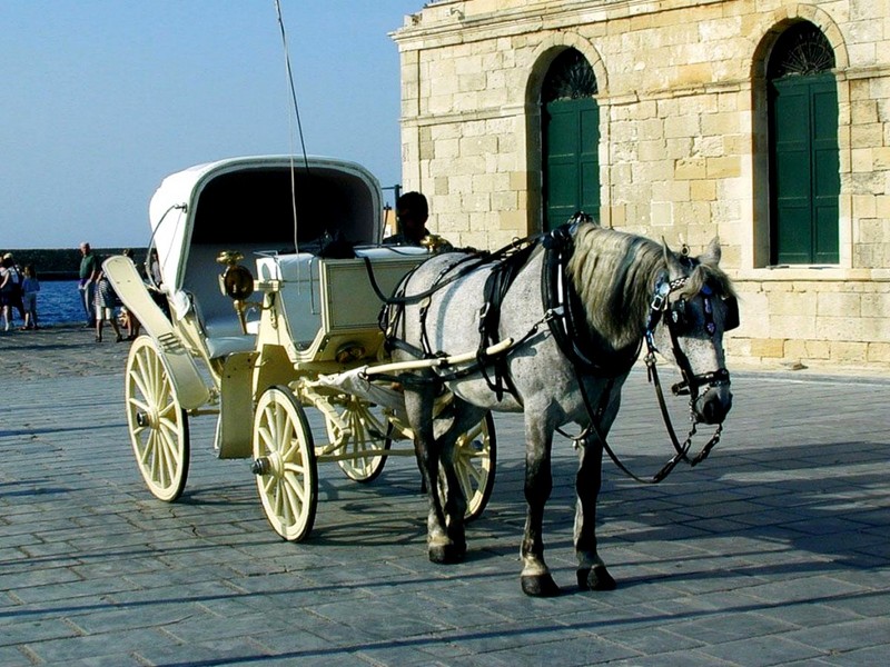 [DOT CD04] Greece - Crete - Chania Transport - Horse; DISPLAY FULL IMAGE.