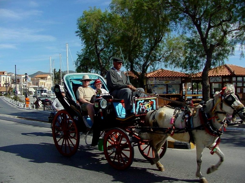 [DOT CD04] Greece - Saronic Gulf - Aegina - Horse; DISPLAY FULL IMAGE.