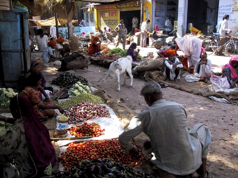 [DOT CD04] India - Bundi Market - Goat; DISPLAY FULL IMAGE.