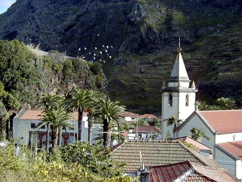 [DOT CD04] Portugal Madeira - Sao Vincente - Birds; DISPLAY FULL IMAGE.