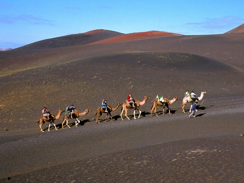 [DOT CD04] Spain Lanzarote Fire Mountains - Camels; DISPLAY FULL IMAGE.