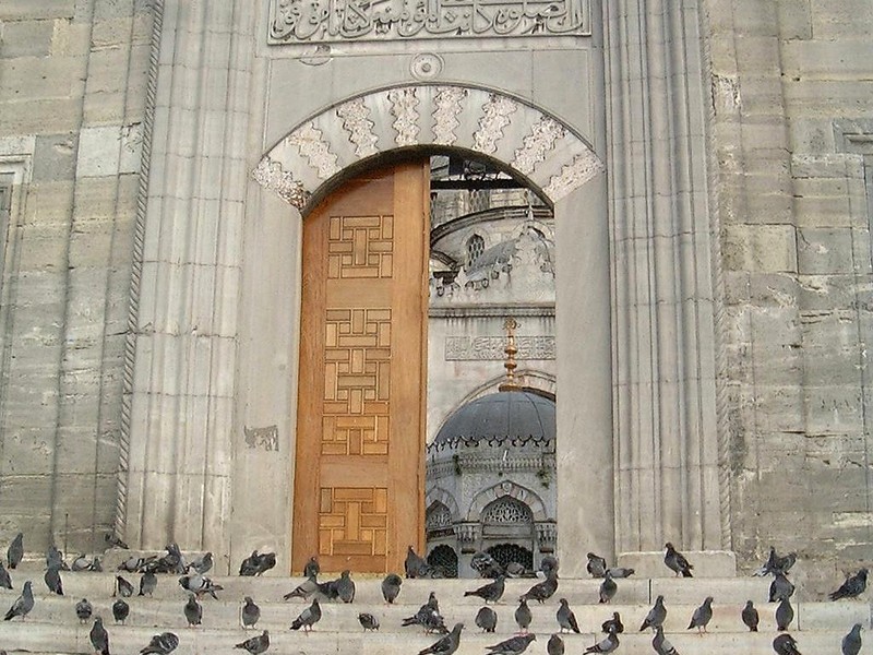 [DOT CD04] Turkey Bosporus New Mosque - Feral Pigeons; DISPLAY FULL IMAGE.
