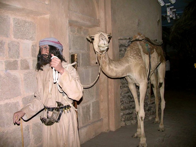 [DOT CD04] United Arab Emirates - Dubai Bedouin Museum - Camel; DISPLAY FULL IMAGE.