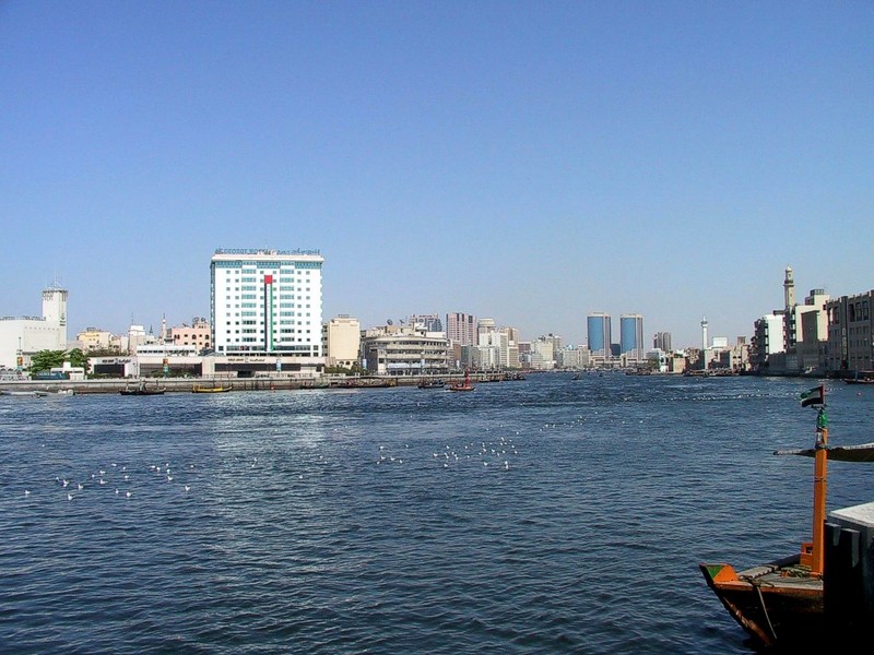 [DOT CD04] United Arab Emirates - Dubai Creek - Gulls; DISPLAY FULL IMAGE.