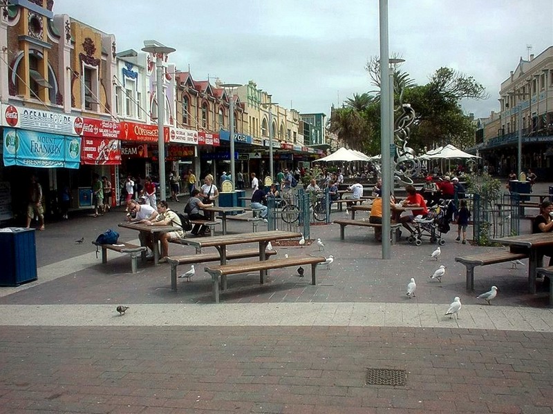 [DOT CD05] Australia - Sydney Manly - Gulls on street; DISPLAY FULL IMAGE.