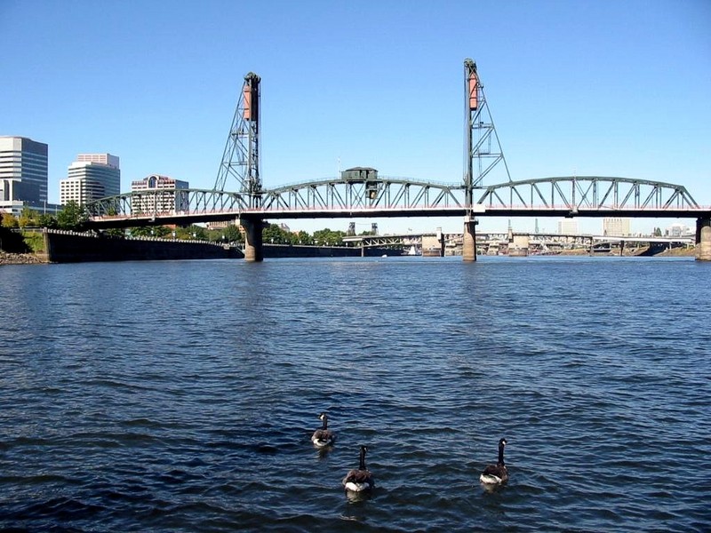[DOT CD05] Oregon Portland Willamette River - Canada Geese; DISPLAY FULL IMAGE.